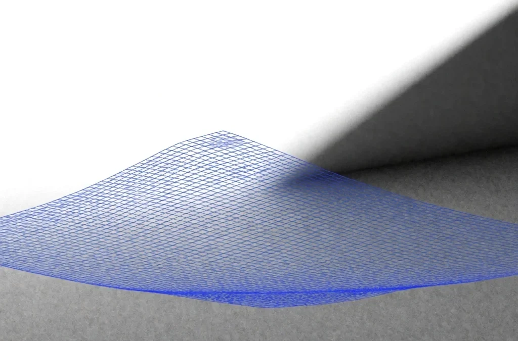 Dimensionality Reduction for Distributions: Functional PCA Through the Lorenz-Curve Lens